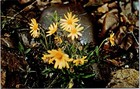 Foto 1 di 2