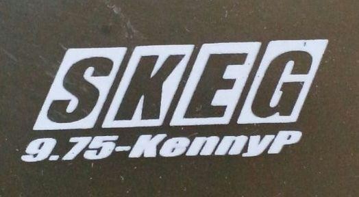 SKEG　シングルフィン　9.75　KennyP　ロングボードフィン Skeg 9.75