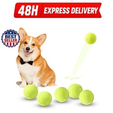 ZIYIZE Mini Tennis Balls 6 Pack 2 Inch Dog Fetch Toy for Small Dogs