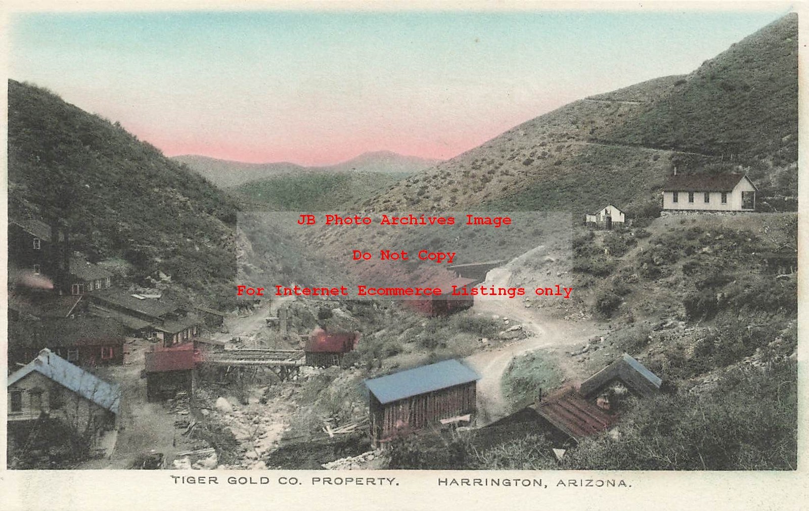 AZ, Harrington, Arizona, Tiger Gold Mining Company, Albertype