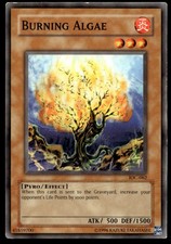 Burning Algae - IOC-062 - YuGiOh | Buy 2 Get 1 Free