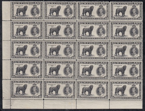 Newfoundland #238 Mint Never Hinged Very Fine Block Corner Block of 20 ...