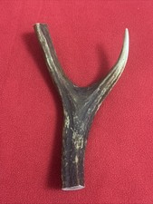 ONE PIECE OF DEER ANTLER, Y SHAPED FOR SLINGSHOTS, WALKING STICKS, ARTS (597)