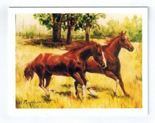 New 2 Brown Horses In Field 6 Blank Note Cards Great For Birthdays, Thank You