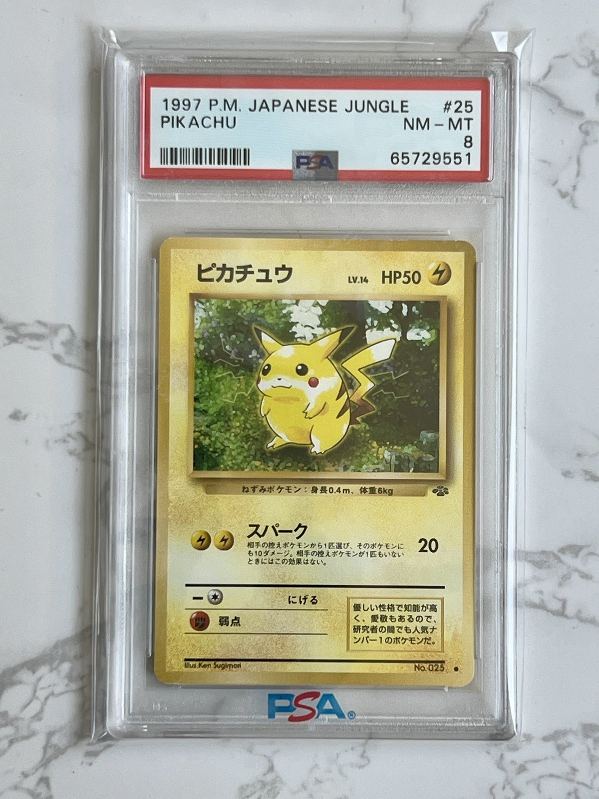 Pokémon TCG PSA 8 Pikachu Jungle Japanese #025 Vintage 1997 NM-MT Common