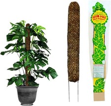 Sphagnum Moss Pole Indoor Plants Monstera Moss Pole Plant Pole Made in USA Ideal