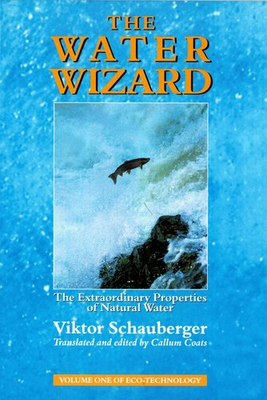 #ad #ad The Water Wizard: The Extraordinary Properties of Natural Water paperback ... $27.14