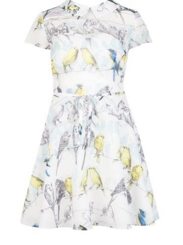 Yellow Canary Bird Print Dress 