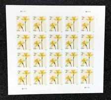 2024USA 5898 2c Daffodils - Sheet of 20 Mint NH  flower