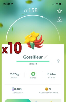 10x Gossifleur Pokemon Bundle !! Good Chance of Lucky and Good IVs !! Go