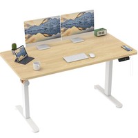 Gunji 160X80 Cm HöHenverstellbarer Schreibtisch TischoberfläChe Elektrischer