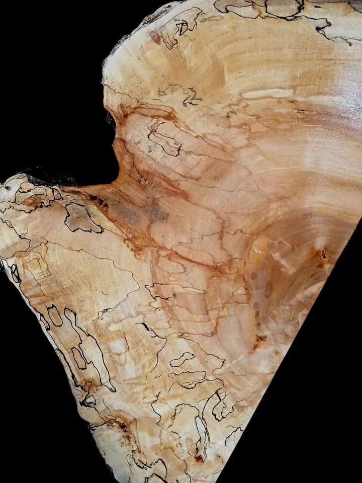 XL MIND BLOWING SPALTED Ambrosia Maple Burl wood Blank, Craft Wood, EPOXY WOOD  - Image 4 of 4