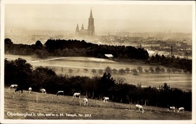 Postcard Oberberghof Ulm an der Donau, panorama, Münster, Weide - 11229155