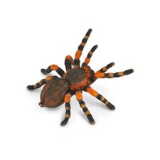 CollectA Realistic Animal Replica Red Knee Tarantula Figure Large Ages 3+ and Up