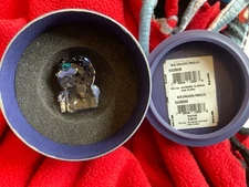 Authentic New in Box SWAROVSKI SCS Grandpa Penguin #5405833
