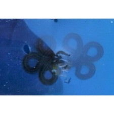 Wrights Frog Closure black rayon cotton knotted 1 x 1 inch