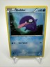 Shellder 19/83 Pokemon TCG XY 2016 Generations Common Regular Unlimited LP