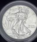 U.S. Mint 2013 American Silver Eagle $1 1 oz .999 Silver Coin Uncertified