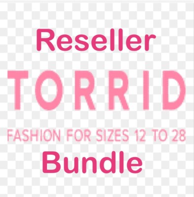 Reseller Bundle #1 Plus Size 10 Piece Lot of Tops Clothes Summer VG-EUC