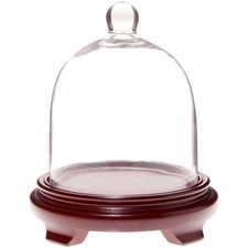 Plymor 6" x 7" Bell Jar Glass Display Dome Cloche, Red Wood Veneer Footed Base