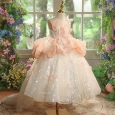 Girl Puffy Princess Party Dresses Birthday Host Piano Gown Train Flower Children