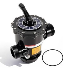 Pentair 263085 Multiport Valve