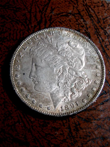 Fantastic 1891 S Morgan Dollar GREAT TONING!!!!!