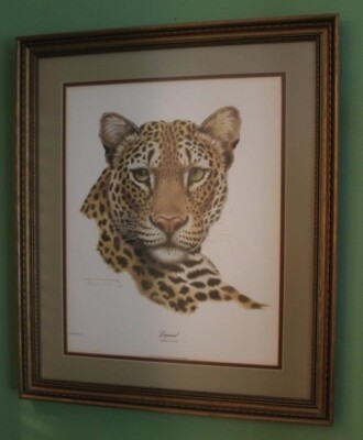 Leopard Large Framed Picture Jim Oliver Signed Panthera Pardus A+ 26.5x22.5