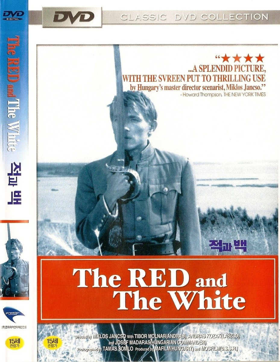 今市隆二 『RED』 DVD 今市隆二 『RED』 DVD 最新な CD・DVD・ブルーレイ - 今市隆二