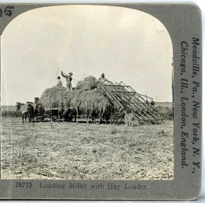 Loading Millet With Hay Loader--Keystone Stereoview X63
