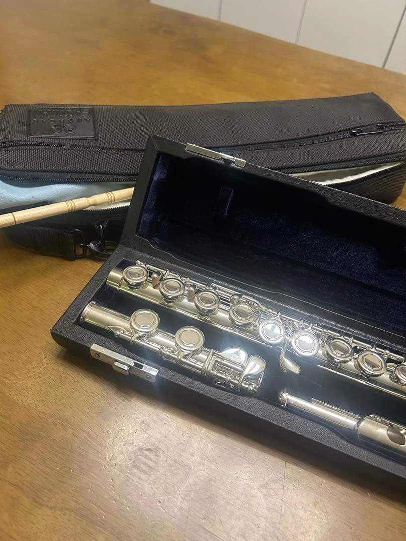 Eastman Flutes for sale | eBay