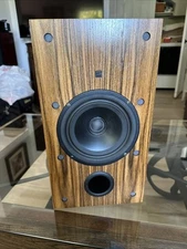 Vintage (single) Thiel SCS speaker