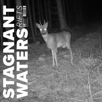 Stagnant Waters - Rifts Lpcd - Vinyl Record - F72Z