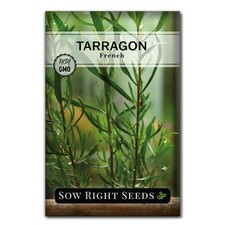 Sow Right Seeds - French Tarragon for Planting - Non-GMO Heirloom green
