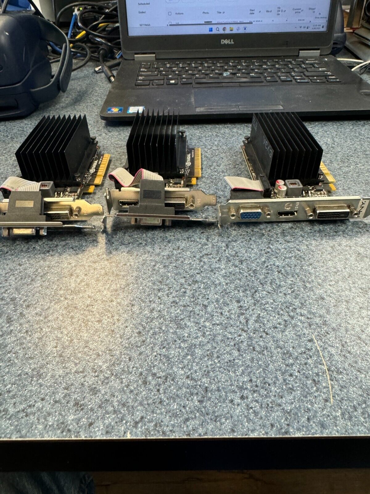 Picture 5 of 5