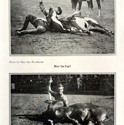 1921 Texas Longhorn Bite I'm Lip Photo Print Round Up Bucking Rodeo Cowboy DWN8C
