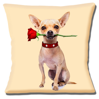 Chihuahua Cushion Cover Romantic Fawn Dog Red Rose 16 Inch 40 Cm Cream Ebay