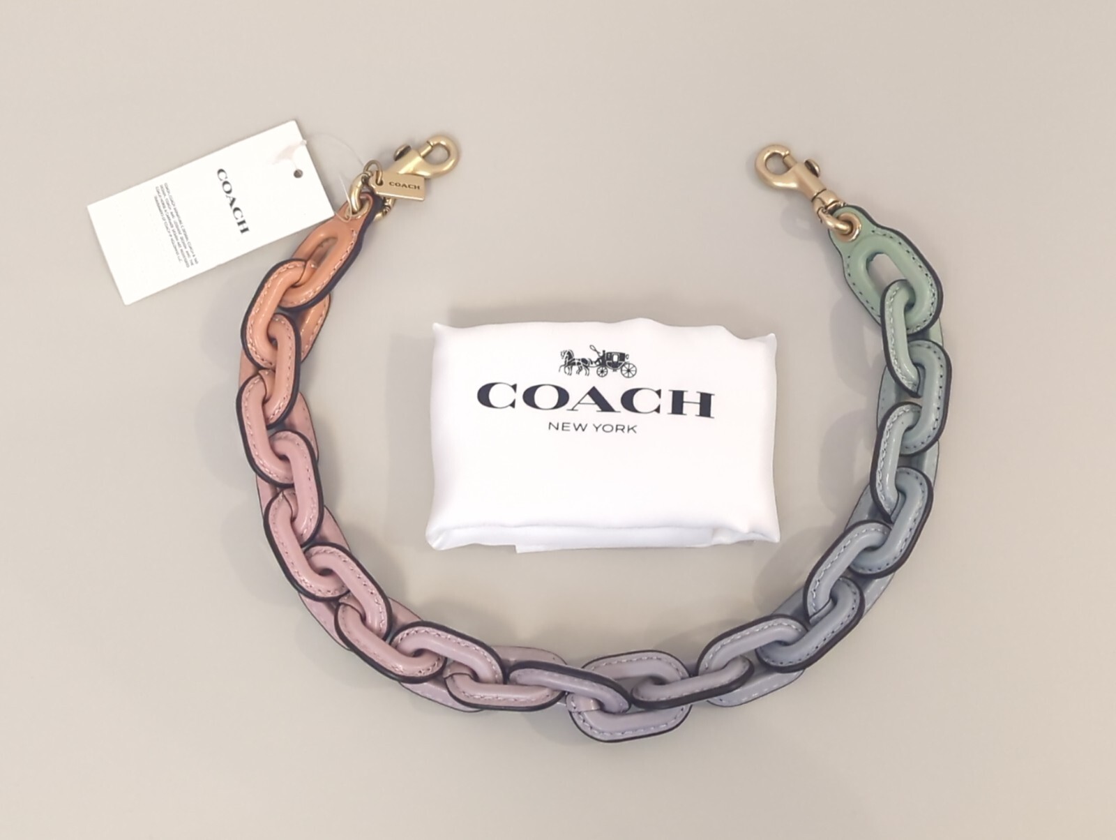 Coach Pastel Rainbow Ombre Leather Covered Short Chain Strap in Pale Pistachio eBay