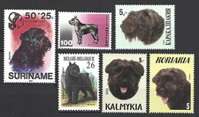 [bouv] Frame it - Dog Breed BOUVIER DES FLANDRES - 6 Different Stamps - Mint VF