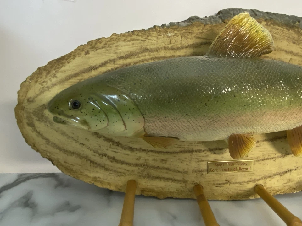 2004 WMG большой смолы/пластика смонтированный Rainbow форели стены вися пальто ключ вешалка - Изображение 3 из 4