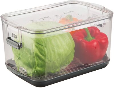 Prepworks by Progressive Produce ProKeeper Storage Container with Stay-Fresh Ven