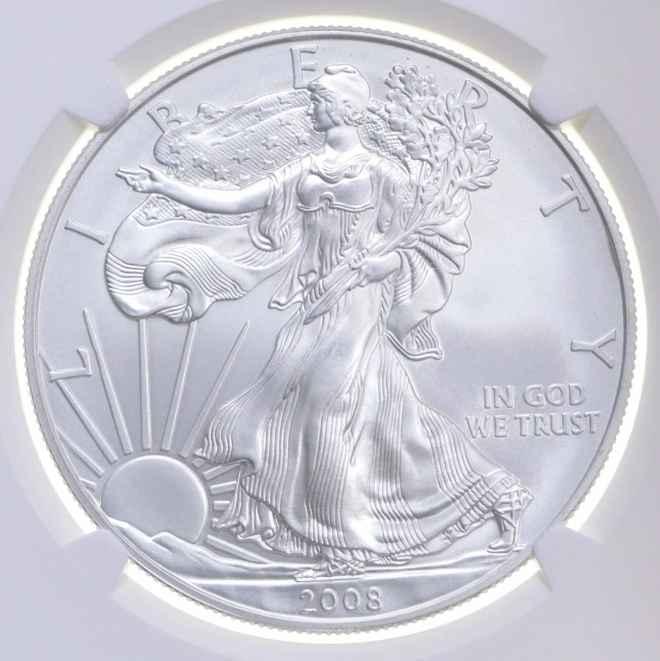 W Blue Silver Eagle 2008 NGC MS70 etiqueta marrón clásica Foto 3 de 4