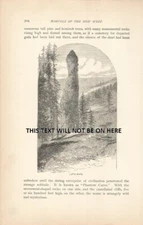 LOT'S WIFE   USA AMERICA  1887 ILLUSTRATION PRINT