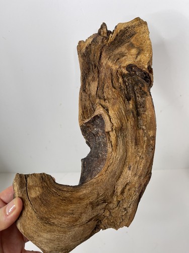 Driftwood rustic Candle Holder Home Decor Beach house Decor Nautical Decor - Picture 11 of 13