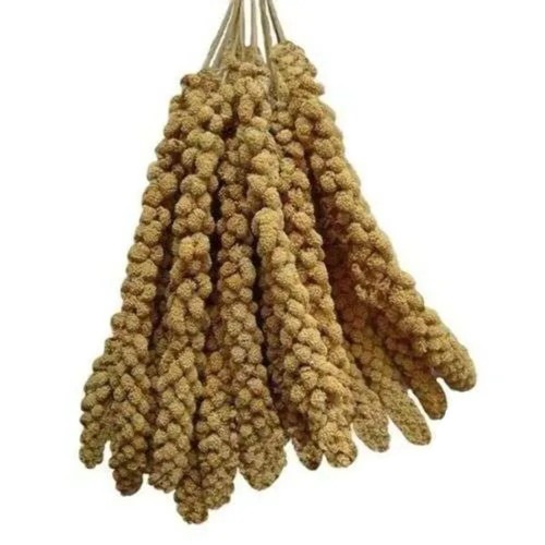 MILLET SPRAY x5 Sprigs 250g 500g 1kg 5kg FOR ALL CAGE BIRDS Budgies Canary Finch - 第 1/1 張圖片
