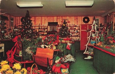 Eastham MA Massachusetts, Christmas in the Grove, Oak Road, Vintage Postcard