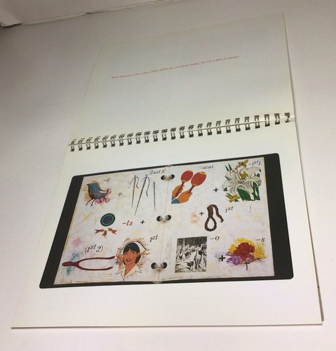 Jane Hammond Rebus Paintings Weatherspoon Art Museum UNC Greensboro NC 2003 - Picture 11 of 24