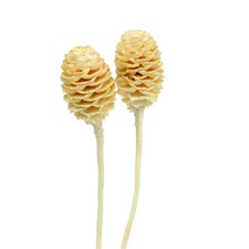 Gebleichte Sabulosum-Trockenblumen, Deko-Zweige f&uuml;r Tischgestecke und