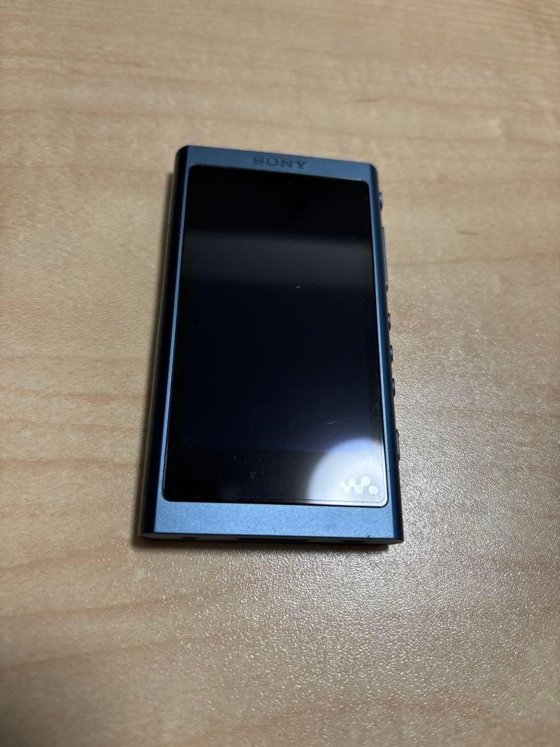 Sony NW-A55 Blue Walkman Digital Audio Player Hi-Res Good Tested Condition