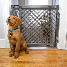 North States Mypet 2-in-1 Easy Swing Petgate 27-41 Wide Dog Gate. Safety Latch,